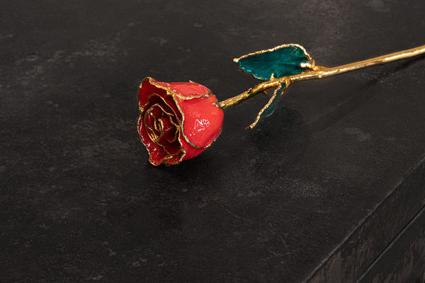 Red Rose with 24k Gold Trim