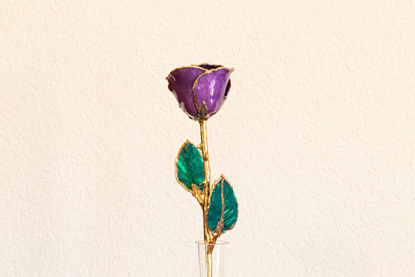 Amethyst Rose with 24k Gold Trim