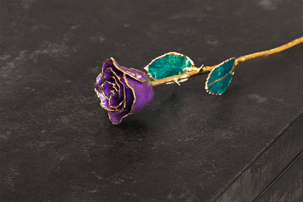 Amethyst Rose with 24k Gold Trim