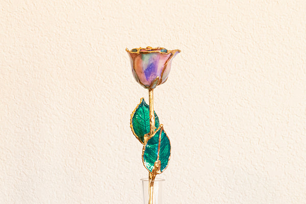 Opal Rose with 24k Gold Trim