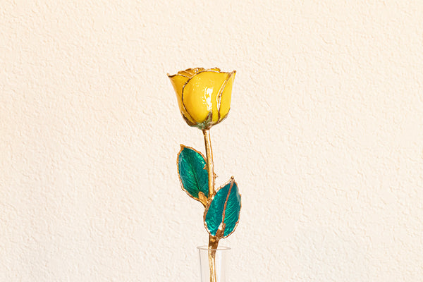 Yellow Rose with 24k Gold Trim