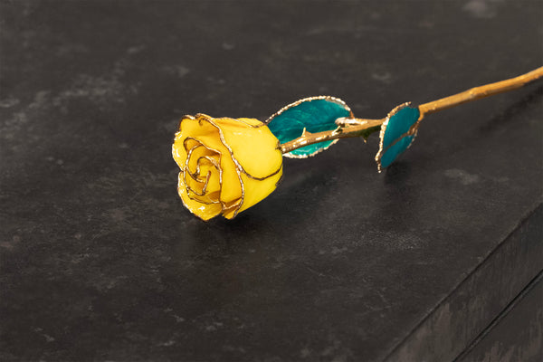 Yellow Rose with 24k Gold Trim